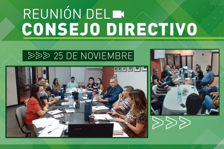 Reunión del Consejo Directivo