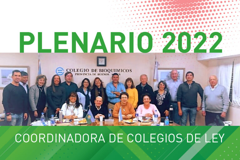 Plenario de la Coordinadora de Colegios de Ley de la República Argentina