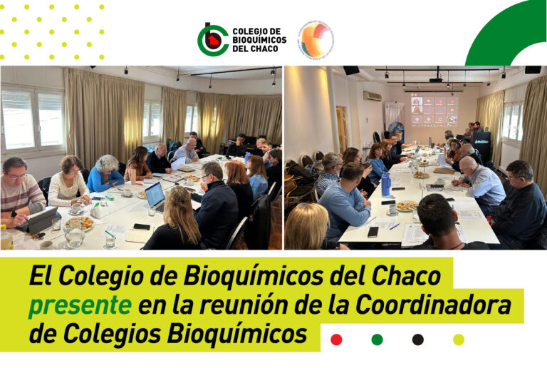 El Colegio de Bioquímicos del Chaco presente en la reunión de la Coordinadora de Colegios Bioquímicos